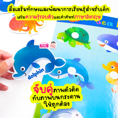 กระดานดึงออก-แปะติด ตีนตุ๊กแก Pull & Stick