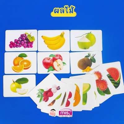 First Words Flash Cards การ์ดคำศัพท์ 5 หมวด (ใช้ร่วมกับ TalkingPen ได้)