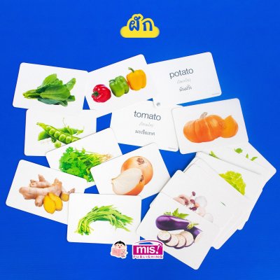 First Words Flash Cards การ์ดคำศัพท์ 5 หมวด (ใช้ร่วมกับ TalkingPen ได้)