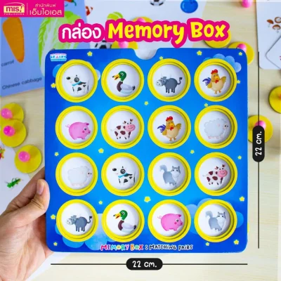 หนังสือเรียนรู้คำศัพท์ Fruits and Vegetables พร้อม Memory Box : Matching Pairs จับคู่ ฝึกสมอง