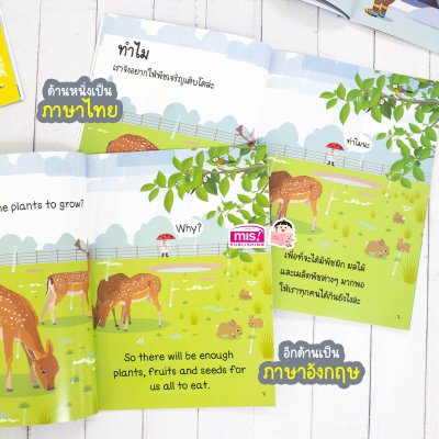 ทำไมฝนจึงตก