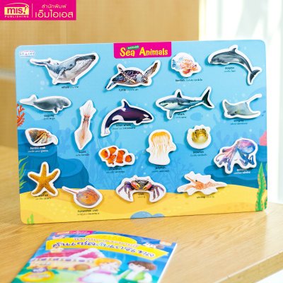 หนังสือนิทาน พร้อมกระดานดึงออก-แปะติด ตีนตุ๊กแก Pull & Stick ภาพจริงและสัตว์ตาแป๋ว