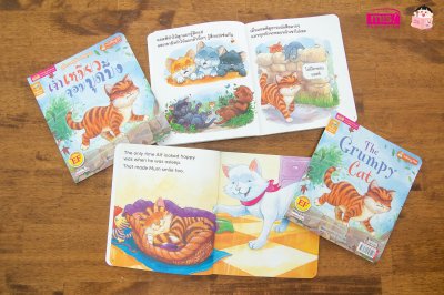 เจ้าเหมียวจอมบูดบึ้ง