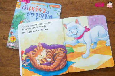 เจ้าเหมียวจอมบูดบึ้ง