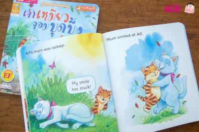 เจ้าเหมียวจอมบูดบึ้ง