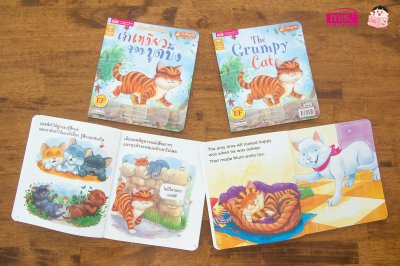 เจ้าเหมียวจอมบูดบึ้ง