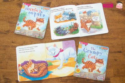 เจ้าเหมียวจอมบูดบึ้ง