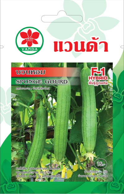 บวบหอม SPONGE GOURD F1-HYBRID