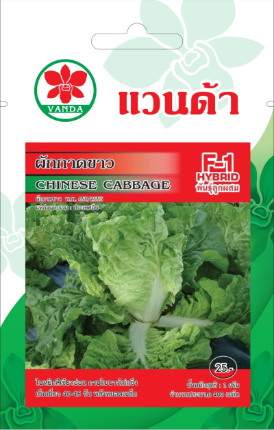 ผักกาดขาว CHINESE CABBAGE F1-HYBRID