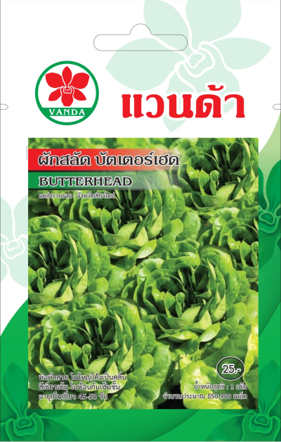 ผักสลัด บัตเตอร์เฮด BUTTERHEAD