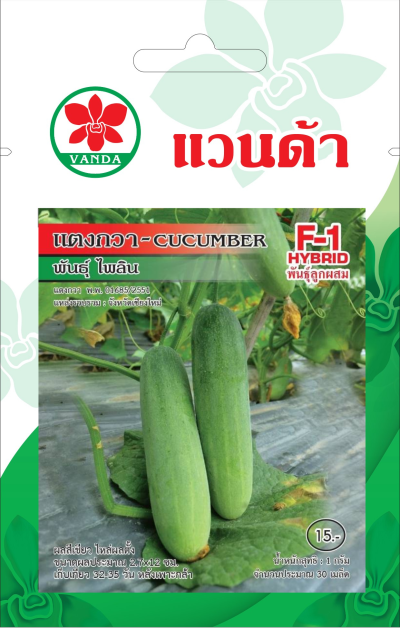 แตงกวา พันธุ์ไพลิน CUCUMBER F1-HYBRID
