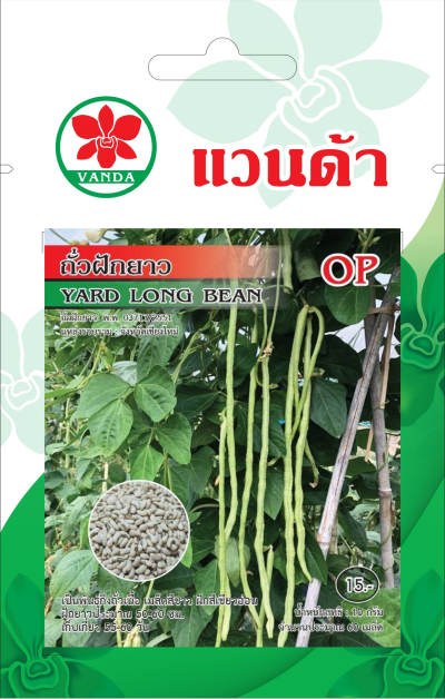 ถั่วฝักยาว (เมล็ดสีขาว) YARD LONG BEAN OP