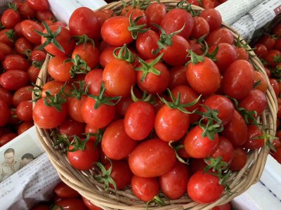 มะเขือเทศราชินี (สีแดง)