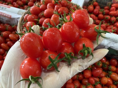 มะเขือเทศราชินี (สีแดง)