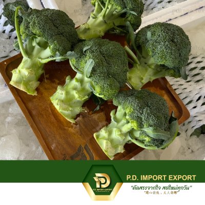 บล็อคโคลี / บรอกโคลี / Broccoli / 西兰花