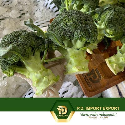 บล็อคโคลี / บรอกโคลี / Broccoli / 西兰花