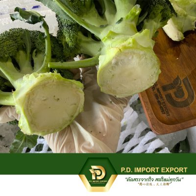 บล็อคโคลี / บรอกโคลี / Broccoli / 西兰花