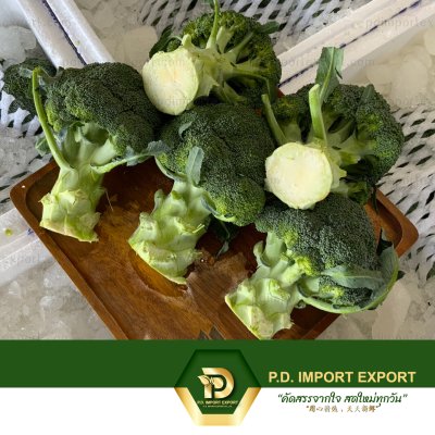 บล็อคโคลี / บรอกโคลี / Broccoli / 西兰花
