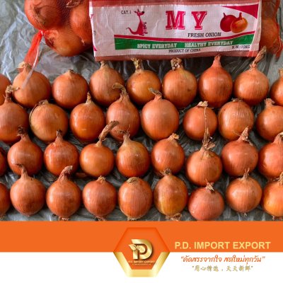 หัวหอมใหญ่ / Yellow Onion / 黄葱 | PD ผักสดขายส่งยกกล่อง