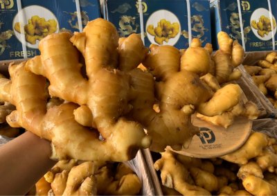 Chinese Ginger