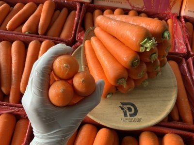 แครอท (กล่องส้ม)