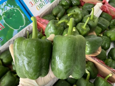 พริกยักษ์เขียว