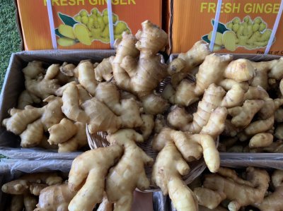 Ginger