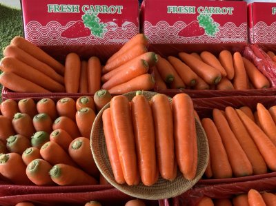 แครอท (กล่องแดง)