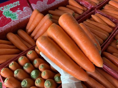 แครอท (กล่องแดง)