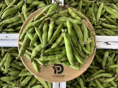 ถั่วปากอ้า