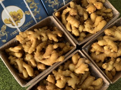 Chinese Ginger