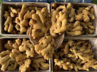 Chinese Ginger