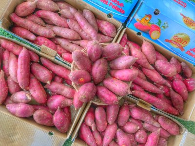 Japanese Sweet Potato