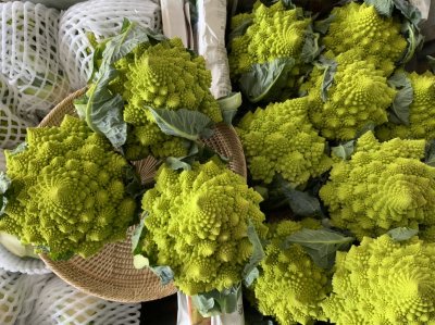 Romanesque Cauliflower