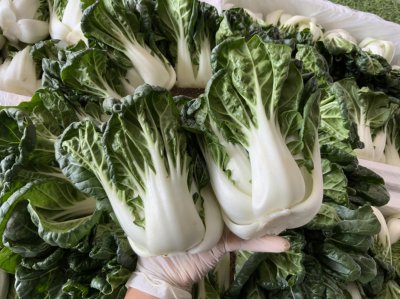 ฉ่อยใหญ่