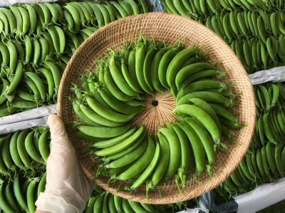 ถั่วลันเตาหวาน