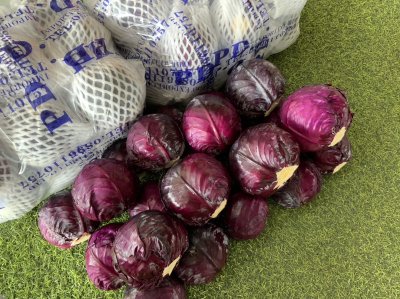 Purple Cabbage