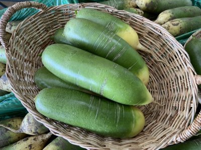 หัวไชเท้า (เขียว)