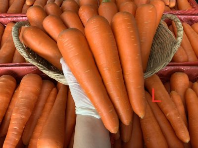 แครอท (กระต่ายเขียว)