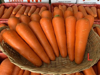 แครอท (กระต่ายเขียว)