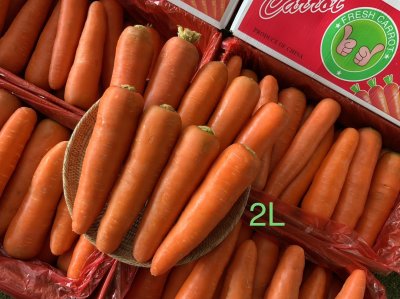 แครอท (ตรานิ้วโป้ง)