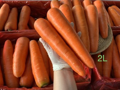 แครอท (ตรานิ้วโป้ง)