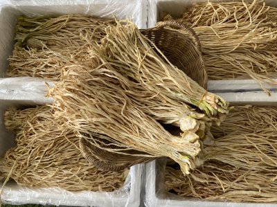 หัวไชเท้า (แห้ง)