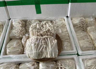 เห็ดจือขาว (ชิเมจิขาว)