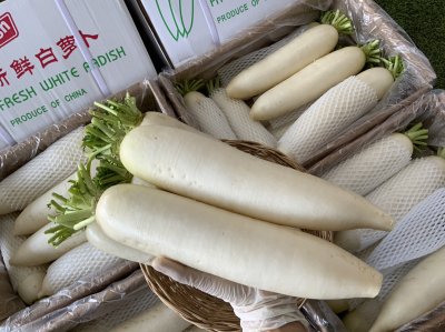 Lobok / Daikon