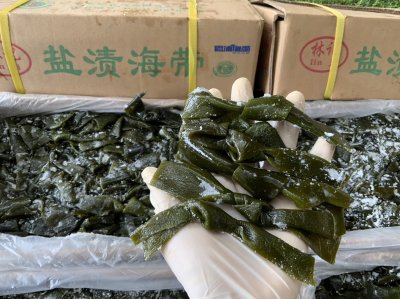 สาหร่ายสด