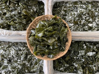 สาหร่ายสด