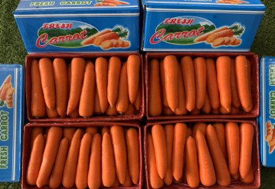 แครอท (กล่องฟ้า)