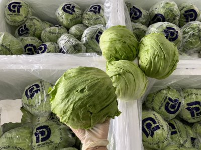 สลัดแก้ว