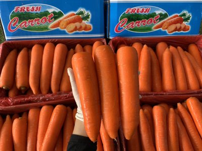 แครอท (กล่องฟ้า)